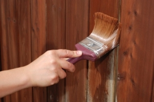 Fence painting / repair / erecting