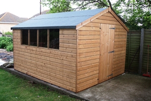 Shed painting / repair / erecting